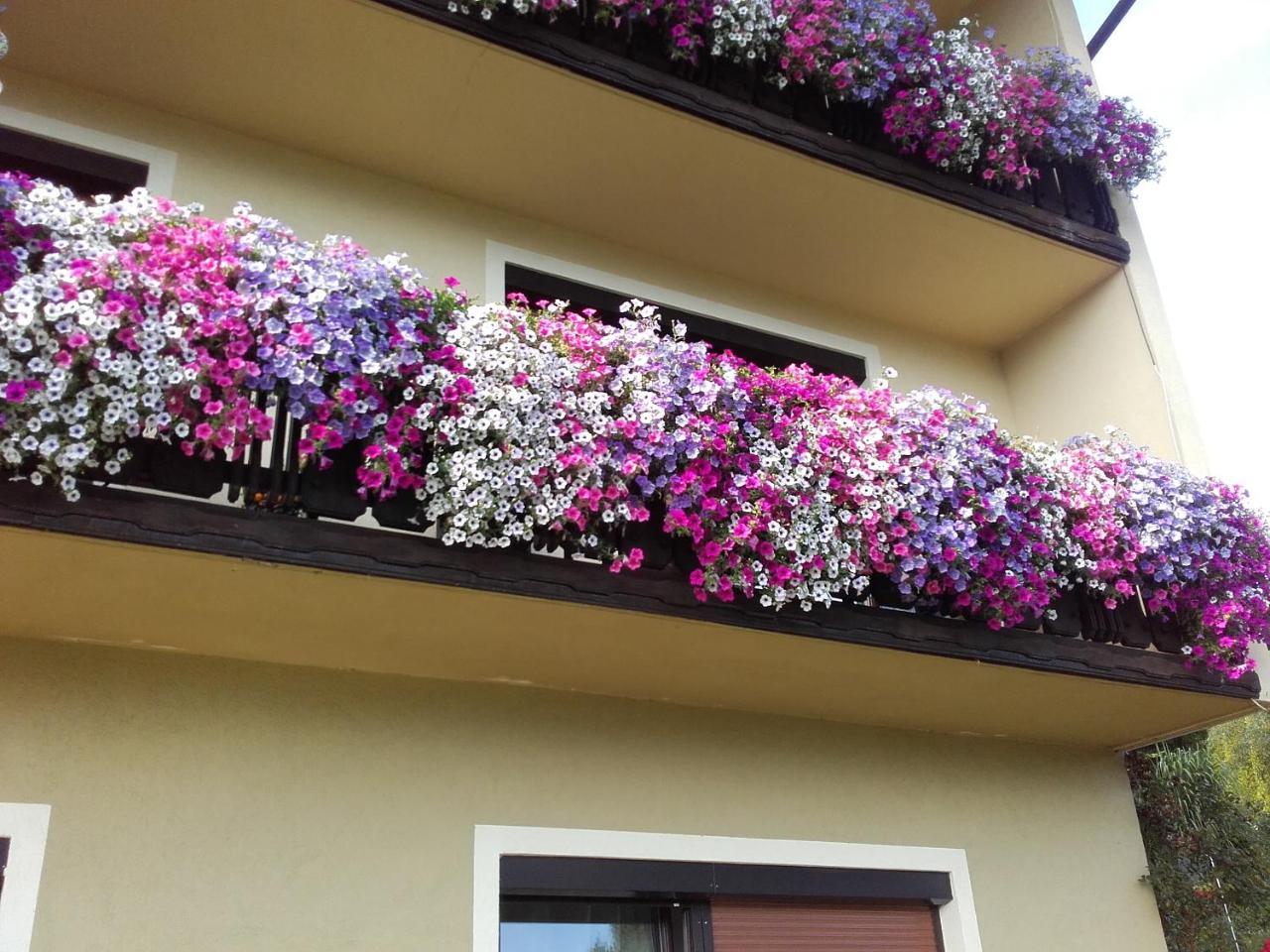 Appartement - Ferienwohnungen - Gaestehaus Gabriele Дроболлах-ам-Факерзе Екстер'єр фото
