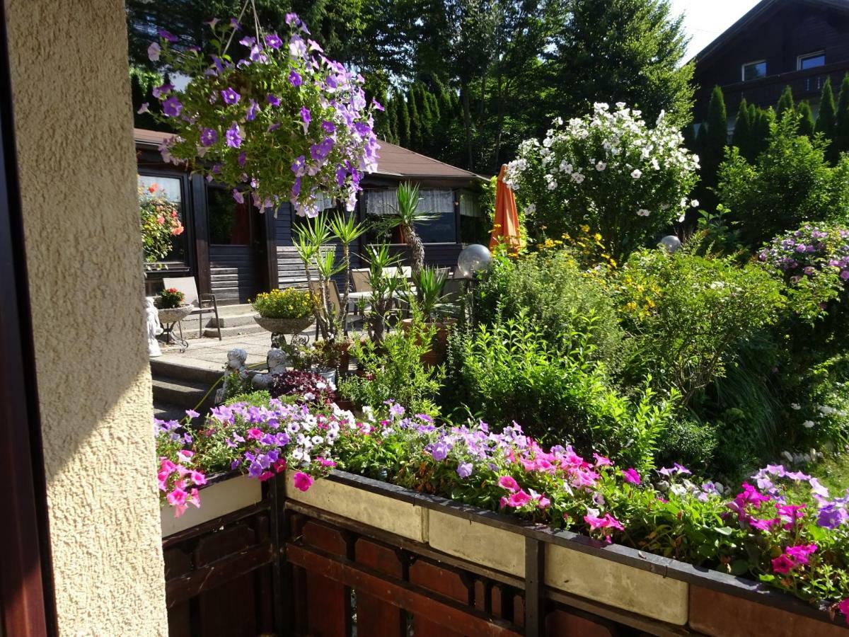 Appartement - Ferienwohnungen - Gaestehaus Gabriele Дроболлах-ам-Факерзе Екстер'єр фото