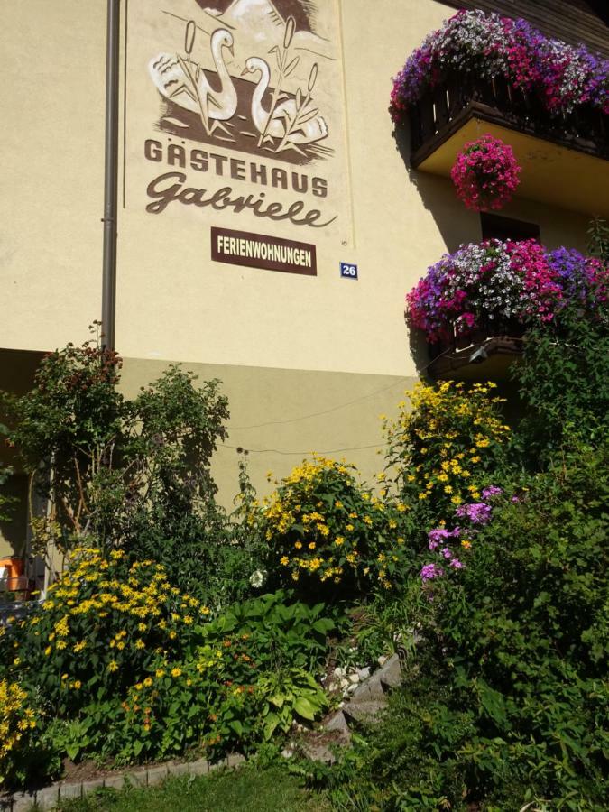 Appartement - Ferienwohnungen - Gaestehaus Gabriele Дроболлах-ам-Факерзе Екстер'єр фото